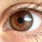 eye